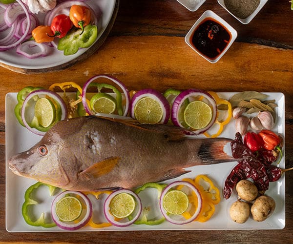 pescado tikin xic holbox